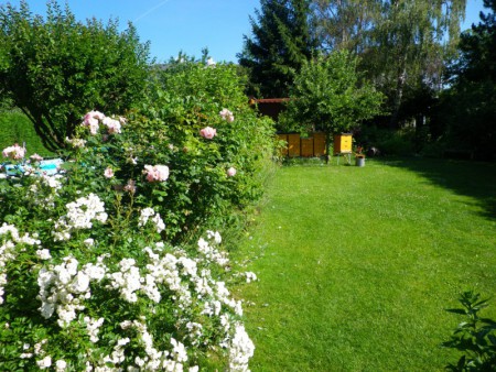 Die Bienenvölker im Garten