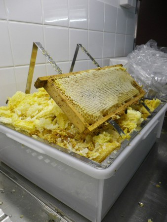 Voll verdeckelte Waben